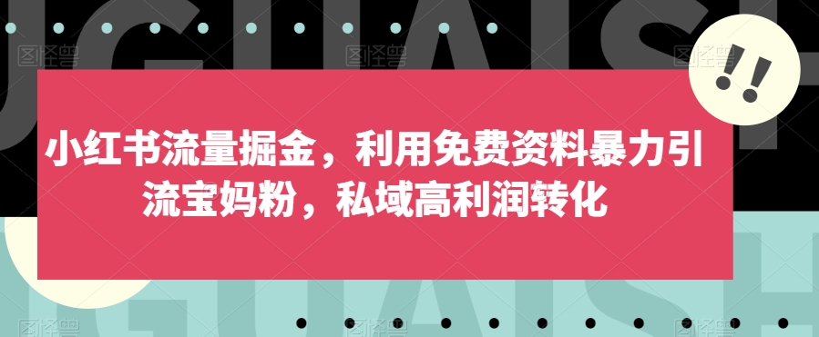 小红书的总流量掘金队，运用免费资料大全暴力行为引流方法宝妈粉，公域高收益转换【揭密】-中创网_分享创业资讯_网络项目资源