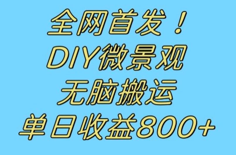 独家首发小众跑道！DIY微景观，没脑子搬运视频，日盈利800 【揭密】-中创网_分享创业资讯_网络项目资源