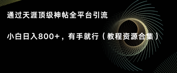 天涯顶级神帖项目，全平台引流小白日入800+，有手就行(内含教程资源合集)-中创网_分享创业资讯_网络项目资源