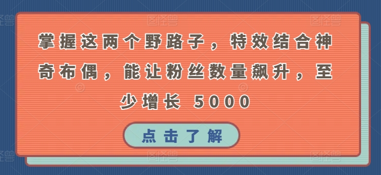 掌握这两个野路子，特效结合神奇布偶，能让粉丝数量飙升，至少增长 5000【揭秘】-中创网_分享创业资讯_网络项目资源