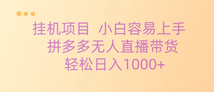 挂机项目拼多多无人直播带货，轻松日入1000+-中创网_分享创业资讯_网络项目资源