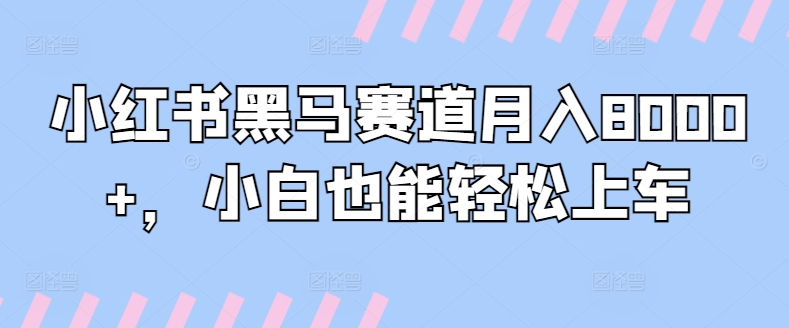 小红书黑马赛道月入8000+，小白也能轻松上车-中创网_分享创业资讯_网络项目资源