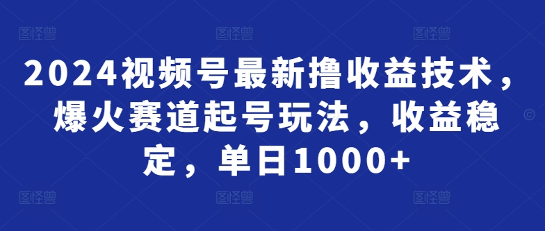 2024视频号最新撸收益技术，爆火赛道起号玩法，收益稳定，单日1000+-中创网_分享创业资讯_网络项目资源