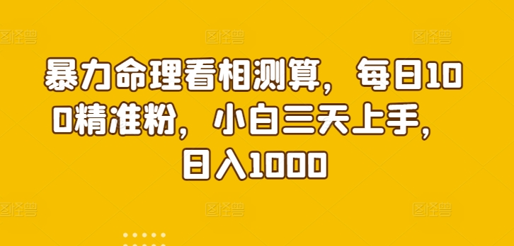 暴力命理看相测算，每日100精准粉，小白三天上手，日入1000-中创网_分享创业资讯_网络项目资源