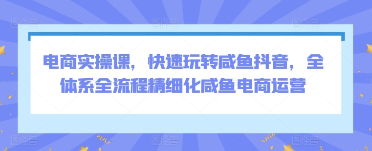 电商实操课，快速玩转咸鱼抖音，全体系全流程精细化咸鱼电商运营-中创网_专注互联网创业,项目资源整合