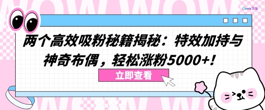 两个高效吸粉秘籍揭秘：特效加持与神奇布偶，轻松涨粉5000+【揭秘】-中创网_分享创业资讯_网络项目资源