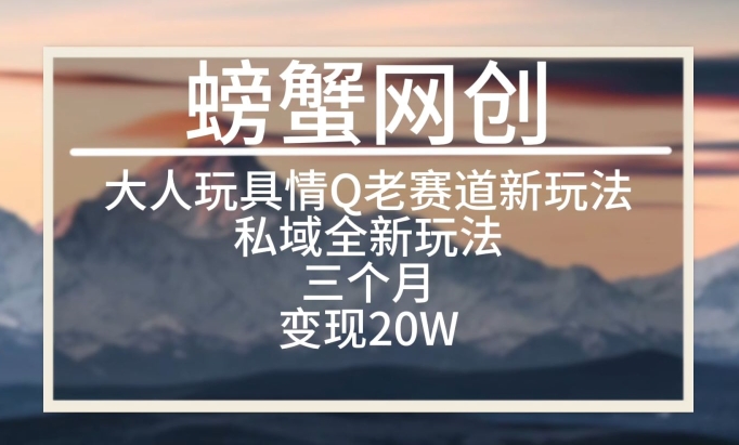 大人玩具情Q用品赛道私域全新玩法，三个月变现20W，老项目新思路【揭秘】-中创网_分享创业资讯_网络项目资源