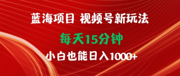 蓝海项目，视频号新玩法，每天15分钟，小白也能日入1000+-中创网_分享创业资讯_网络项目资源