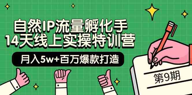 图片[1]-当然IP总流量卵化手14无线天线上实际操作夏令营【第9期】月入5w 上百万爆款打造 (74节)-暖阳网-优质付费教程和创业项目大全