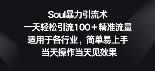 Soul暴力引流术，一天轻松引流100＋精准流量，适用于各行业，简单易上手-中创网_分享创业资讯_网络项目资源