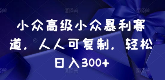 小众暴利赛道，人人可复制，轻松日入300+-中创网_分享创业资讯_网络项目资源