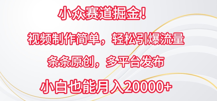 小众赛道掘金，视频制作简单，轻松引爆流量，条条原创，多平台发布【揭秘】-中创网_分享创业资讯_网络项目资源