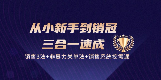 从小新手到销冠三合一速成：销售3法+非暴力关单法+销售系统挖需课 (27节)-中创网_分享创业资讯_网络项目资源