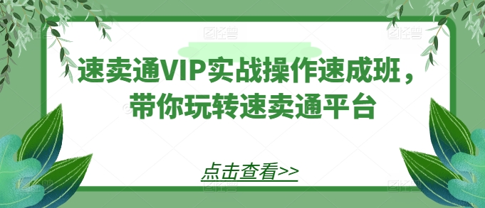 全球速卖通VIP实战操作短期培训班，带你玩转速卖通平台-中创网_分享创业资讯_网络项目资源