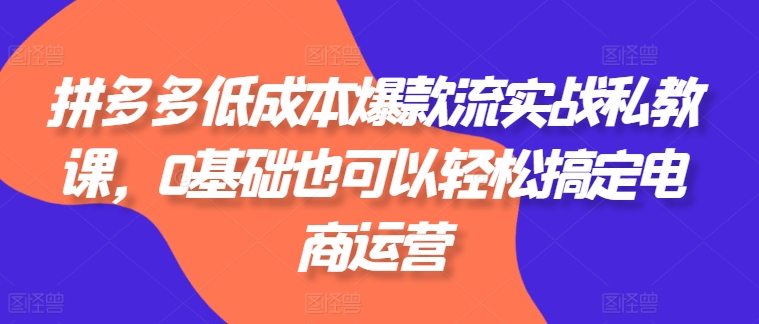 拼多多平台降低成本爆品流实战演练私教，0基本还可以轻松解决网店运营-中创网_分享创业资讯_网络项目资源