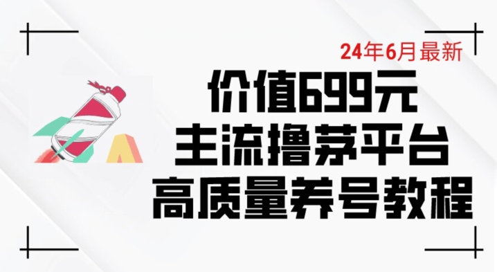 6月全新使用价值699的主力撸茅台酒服务平台精典起号下了车攻略大全【揭密】-中创网_分享创业资讯_网络项目资源