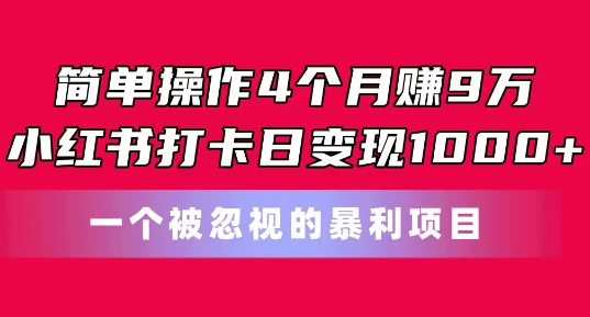 易操作4个月赚9w，小红书的打卡签到日转现1k，一个被忽略的暴力新项目【揭密】-韬哥副业项目资源网