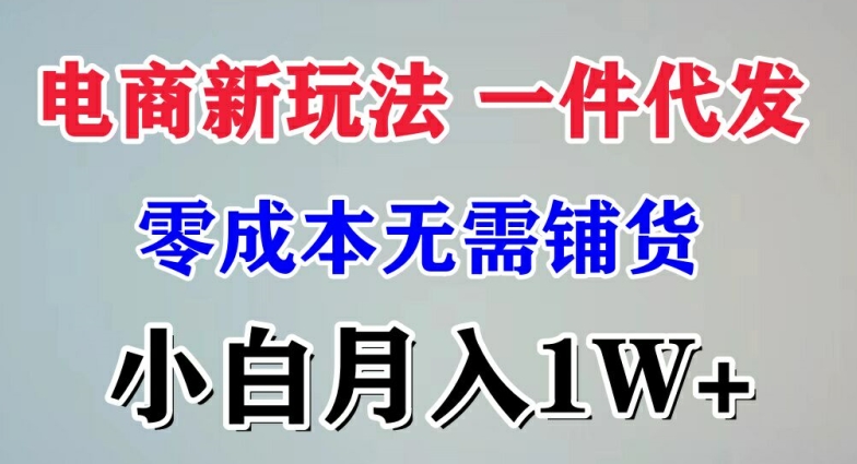 电子商务新模式 一件代发,零成本不用进货，新手月入1W-中创网_分享创业资讯_网络项目资源