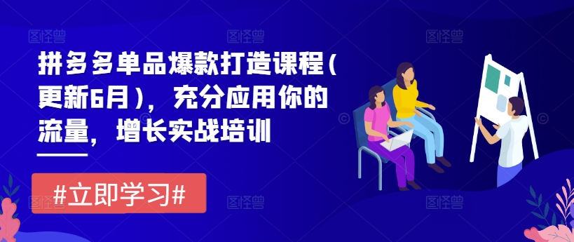 拼多多平台品类爆款打造课程内容(升级6月)，充分应用你的流量，提高实战培训-中创网_分享创业资讯_网络项目资源