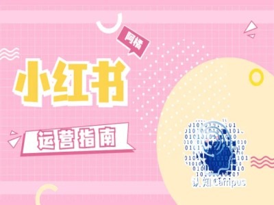 小红书运营手册，无套路，都是工作经验-中创网_分享创业资讯_网络项目资源