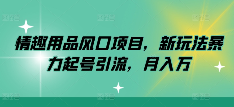 情趣用具蓝海项目，新模式暴力行为养号引流方法，月入万-中创网_分享创业资讯_网络项目资源