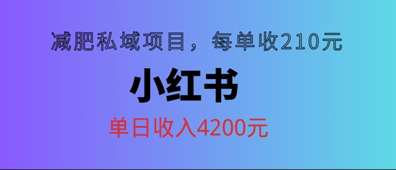 小红书减肥私域项目，每单210元，单日可卖出15单，利润3150-中创网_分享创业资讯_网络项目资源