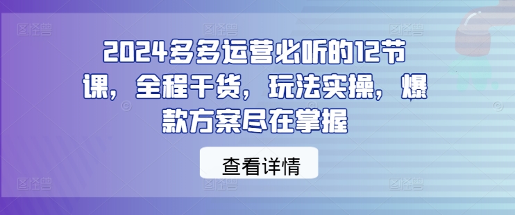 2024多多运营必听的12节课，全程干货，玩法实操，爆款方案尽在掌握-中创网_分享创业资讯_网络项目资源