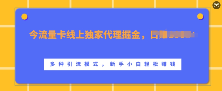 流量卡线上独家代理掘金，日入1k  ，多种引流模式，新手小白轻松上手【揭秘】