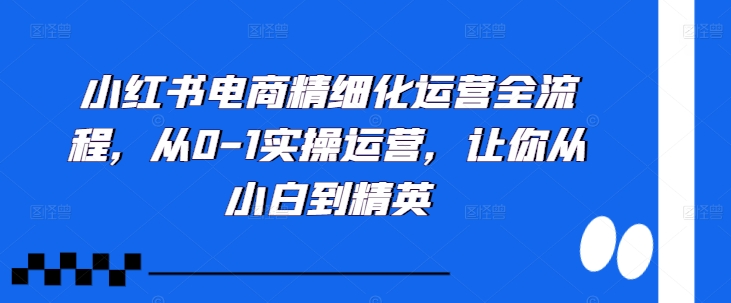 小红书电商精细化营销全过程，从0-1实际操作经营，使你从小白到精锐-中创网_分享创业资讯_网络项目资源