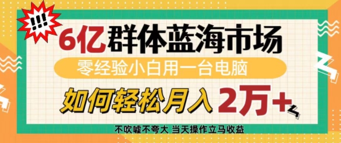 6亿群体蓝海市场，零经验小白用一台电脑，如何轻松月入过w【揭秘】-中创网_分享创业资讯_网络项目资源