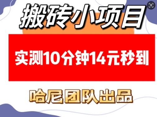 搬砖小项目，实测10分钟14元秒到，每天稳定几张(赠送必看稳定)-中创网_分享创业资讯_网络项目资源