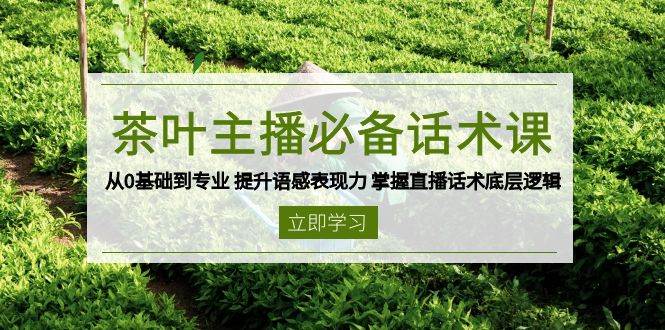 茶网络主播必不可少销售话术课 从0基本到专业 提高英语语感感染力 把握直播带货话术底层思维-中创网_分享创业资讯_网络项目资源