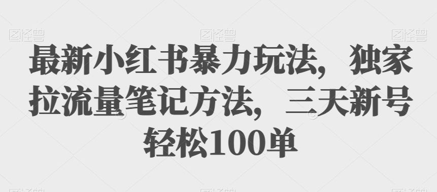 全新小红书的暴力行为游戏玩法，独家代理拉总流量笔记方法，三天小号轻轻松松100单【揭密】-韬哥副业项目资源网