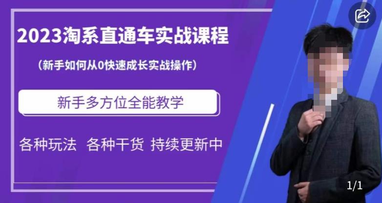 2023淘系直通车保姆式运营讲解，新手如何从0快速成长实战操作，新手多方位全能教学-中创网_分享创业资讯_网络项目资源