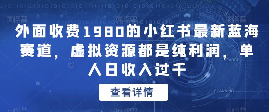 外面收费1980的小红书最新蓝海赛道，虚拟资源都是纯利润，单人日收入过千-中创网_分享创业资讯_网络项目资源