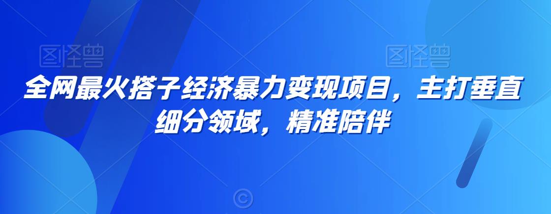 全网最火搭子经济暴力变现项目，主打垂直细分领域，精准陪伴【揭秘】-中创网_分享创业资讯_网络项目资源