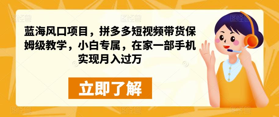 蓝海蓝海项目，拼多多短视频卖货住家保姆级教学过程，初学者特享，在家里面一部手机进行月入过万-韬哥副业项目资源网