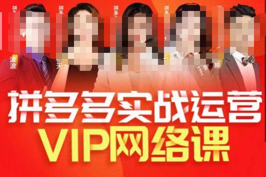 推易拼多多VIP全套网络课程，拼多多卖家操作过程游戏的玩法 实战模拟游戏的玩法选款武功心法 直通车推广高端等-中创网_分享创业资讯_网络项目资源