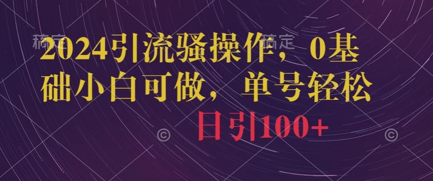 2024引流骚操作，0基础小白可做，单号轻松日引100+-中创网_分享创业资讯_网络项目资源