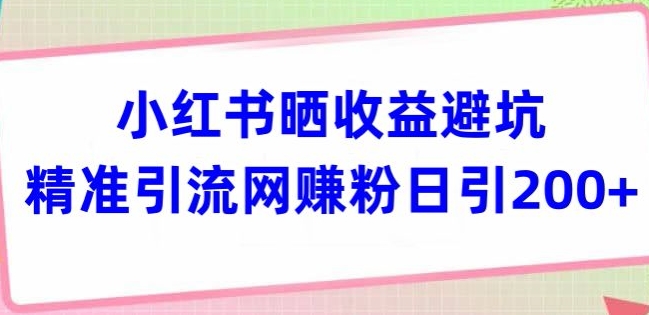 小红书晒收益避坑精准引流网赚粉日引200+-中创网_分享创业资讯_网络项目资源