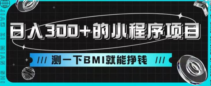 日入300 的小程序项目，测一下BMI也能赚钱【揭秘】-中创网_分享创业资讯_网络项目资源