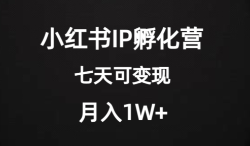 使用价值2000 的小红书IP卵化营新项目，超大瀚海，七天即可进行转现，平稳月入1W-中创网_分享创业资讯_网络项目资源