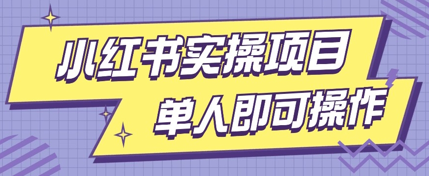 小红书的实际操作新项目，使用方便单人单天200-韬哥副业项目资源网