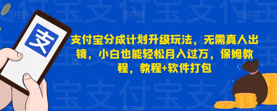 支付宝钱包分为方案升级玩法，不用真人出镜，新手都可以轻松月入破万，家庭保姆实例教程，实例教程 软件打包-韬哥副业项目资源网