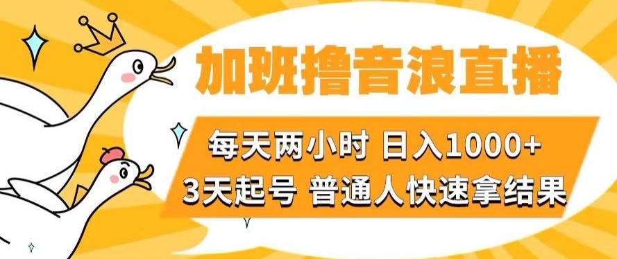 加班撸音浪直播，每天两小时，日入1000+，直播话术才3句，3天起号，普通人快速拿结果【揭秘】-中创网_分享创业资讯_网络项目资源