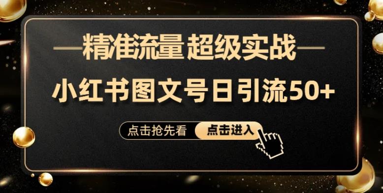 日引50+精准流量，小红书图文号，超级实战的小红书引流课，适合新手小白的项目-中创网_分享创业资讯_网络项目资源