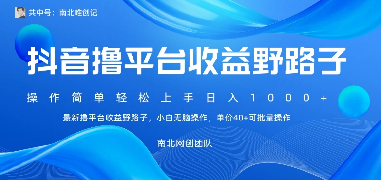 最新撸抖音平台收益野路子，操作简单，单价高，小白可无脑操作可日入1000+-中创网_分享创业资讯_网络项目资源