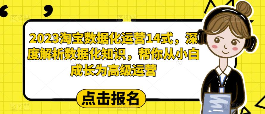 2023淘宝数据化-运营 14式，深度解析数据化知识，帮你从小白成长为高级运营-中创网_分享创业资讯_网络项目资源