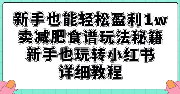 初学者都可以轻松赢利1w，卖瘦身食谱游戏玩法秘笈，初学者也轻松玩小红书的详尽实例教程【揭密】-中创网_分享创业资讯_网络项目资源