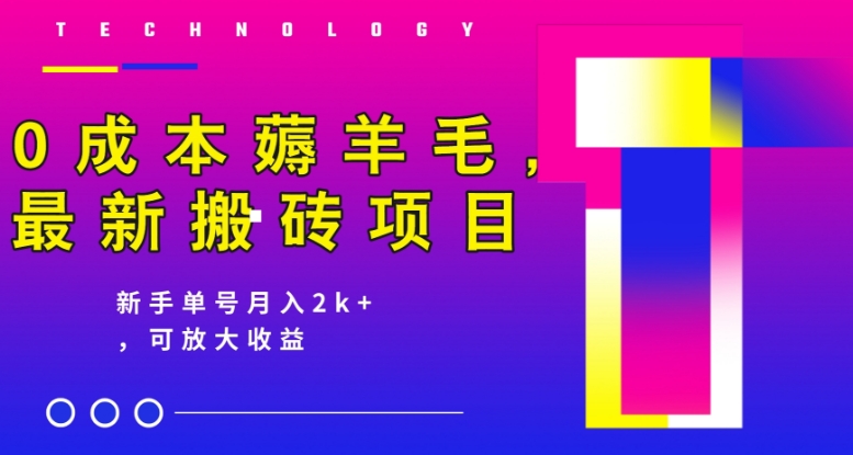 0成本费撸羊毛，全新搬砖项目，初学者运单号月入2k ，可变大实际操作-中创网_分享创业资讯_网络项目资源